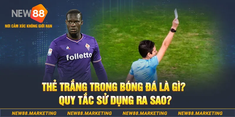 nha cai 789 casino LÀ GÌ